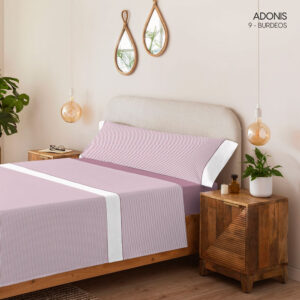 Gelisa decoración