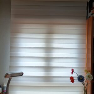 Gelisa decoración