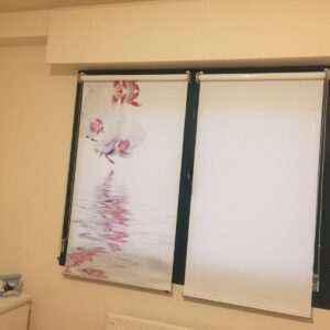 Gelisa decoración